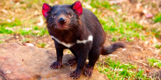 Freycinet National Park-3