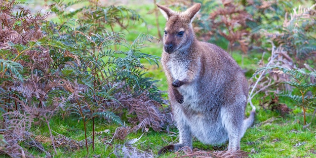 Freycinet National Park-1