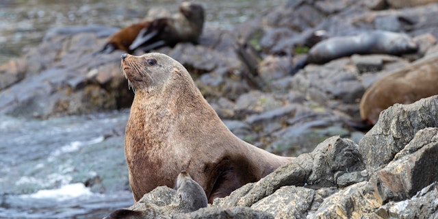 Freycinet National Park-7