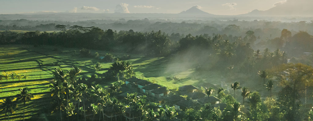 Kappa Senses Ubud