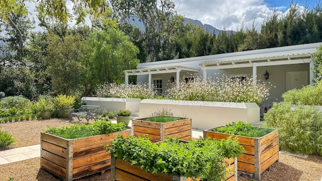 Lavender Farm Guesthouse