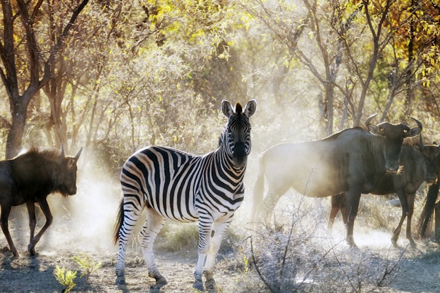 Waterberg Plateaupark-1