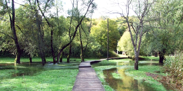 Rakovica-4