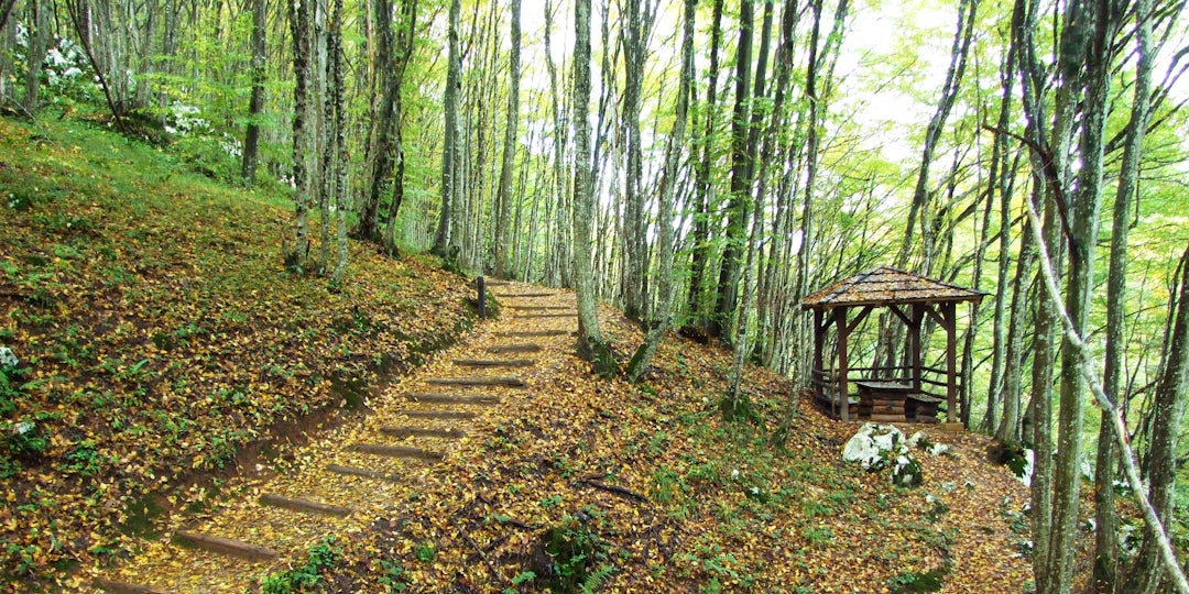 Slowenien Kroatien Rundreise: Kulturelle Highlights und Natur pur