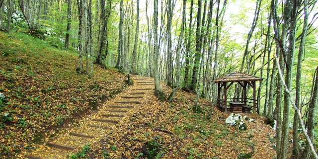 Kulinarische Kroatien Rundreise 14 Tage