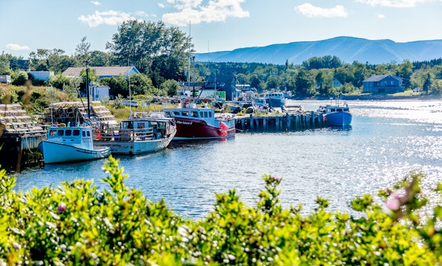 Cape Breton Island-2
