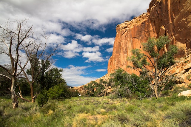 Capitol Reef National Park-1