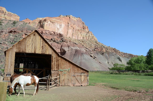 Capitol Reef National Park-2