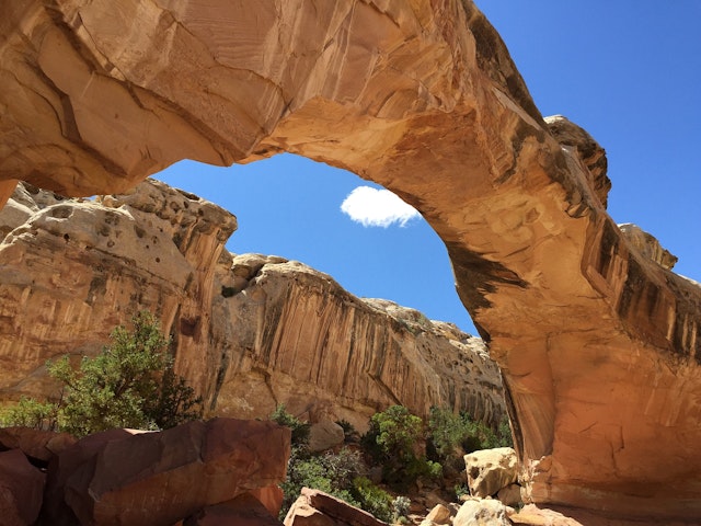 Capitol Reef National Park-0
