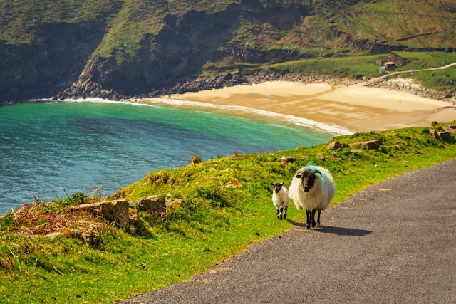 County Mayo-2