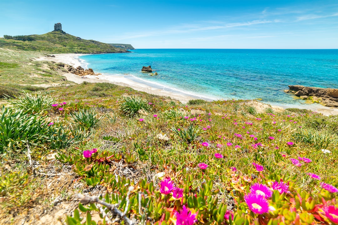 Sardinien Familienreise Abenteuer