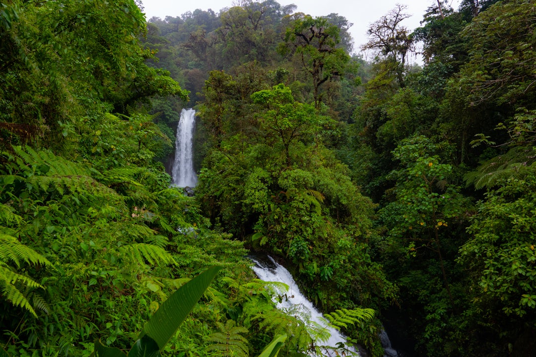 Aventure authentique et inoubliable au Costa Rica 