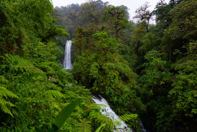 Alajuela-1