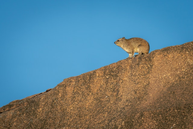 Tsitsikamma National Park-0