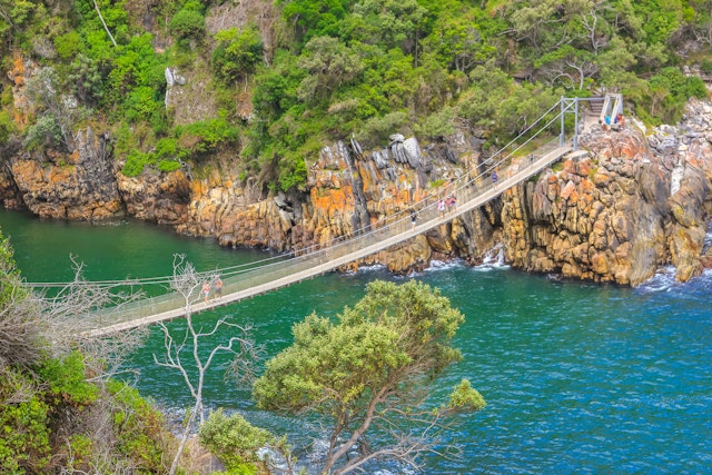 Tsitsikamma National Park-1