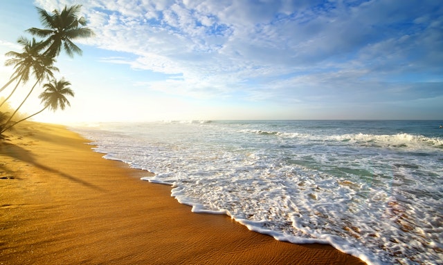 Arugam Bay-4