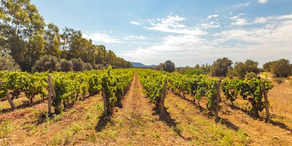 Sardinien-Rundreise 9 Tage: Mit dem Auto von Cagliari nach Alghero - Image 3