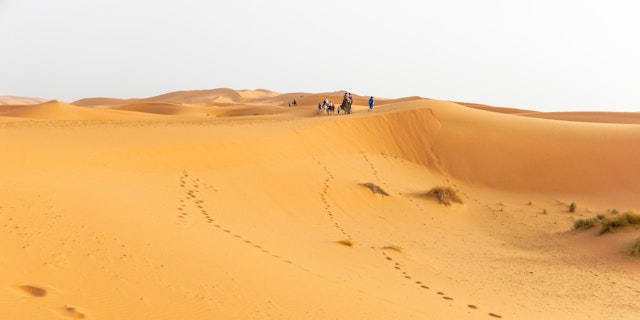 Zagora-4