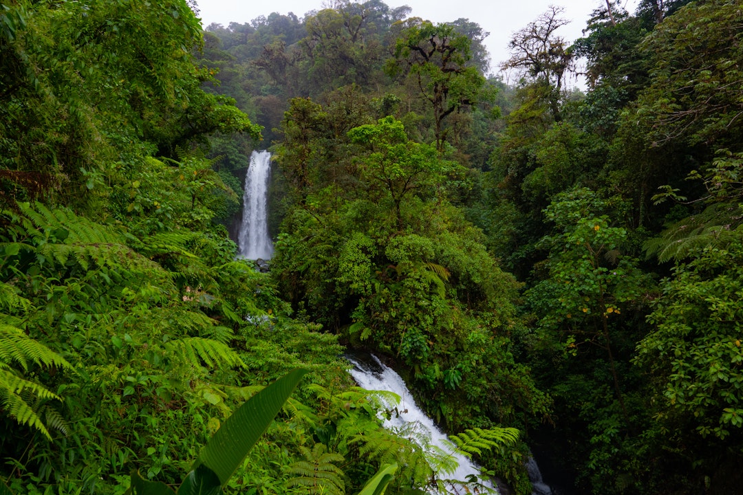 Vulkanische Wunder in Costa Ricas Nationalparks