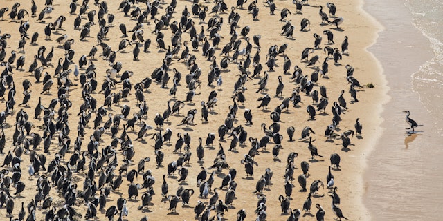 Francois Peron National Park-4