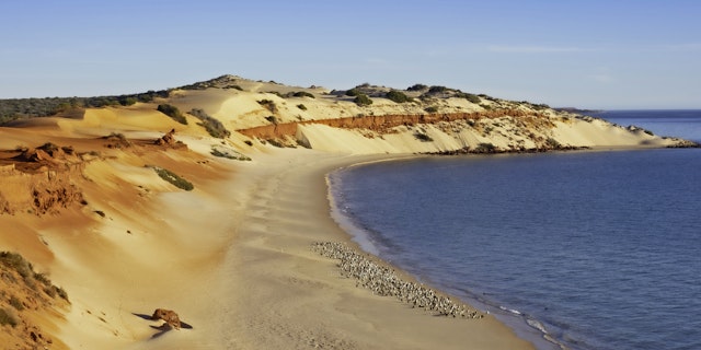 Francois Peron National Park-2