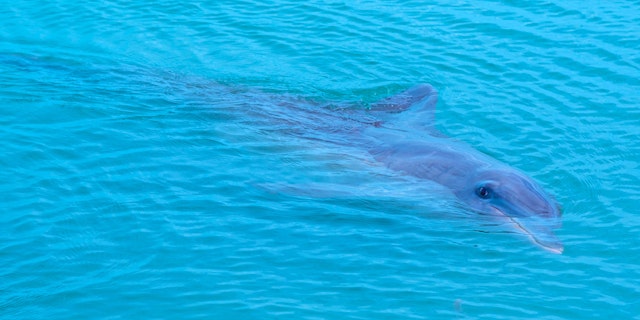 Francois Peron National Park-3