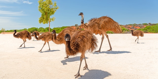 Francois Peron National Park-1