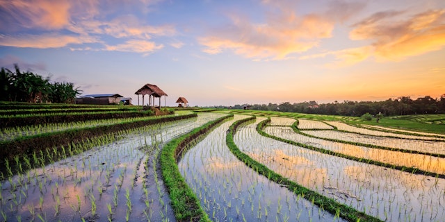 Canggu-1