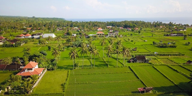 Canggu-3