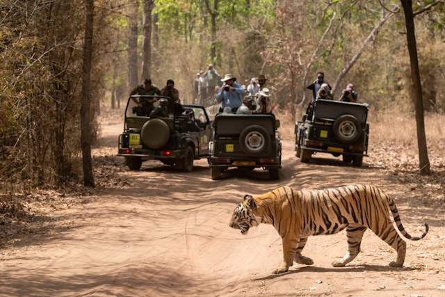 Bandhavgarh National Park-2