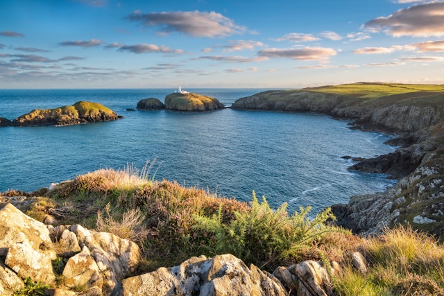 Pembrokeshire-5