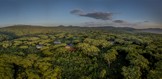 Ngorongoro Lion's Paw Camp