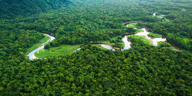 Amazon River-4