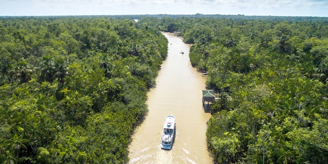 Amazon River-0