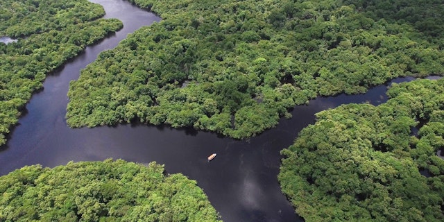 Amazon River-5