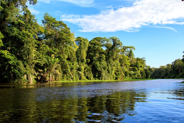 Tortuguero National Park-0