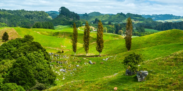 Waitomo-2