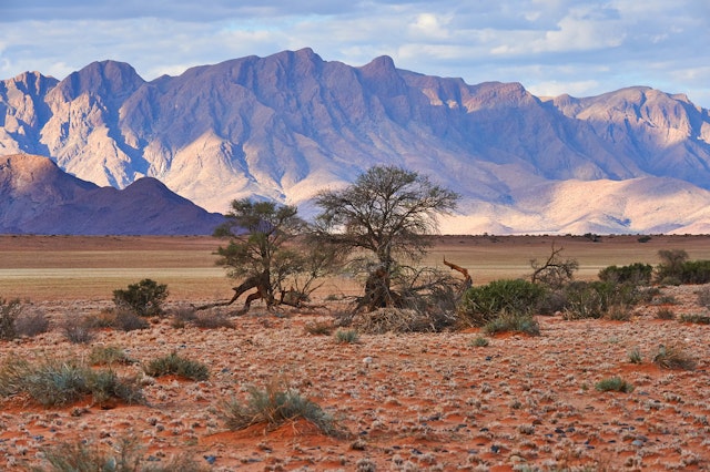 Namib-Wüste-1