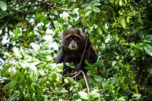 Arusha National Park-3