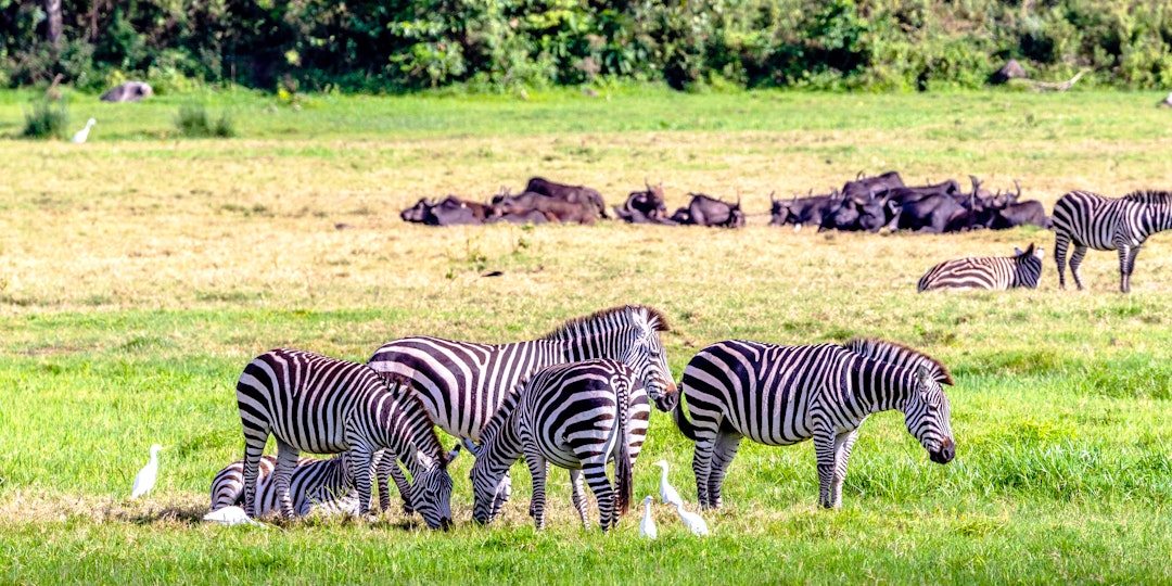 Circuit en Tanzanie de 2 semaines