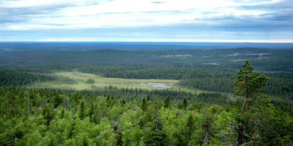 Finnland Rundreise 14 Tage durch Nordfinnland und Lappland - Image 3