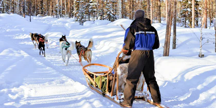 Finnland Rundreise 10 Tage: Nordfinnlands Natur und Küste mit dem Mietwagen - Image 4