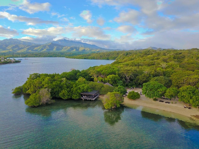 The Menjangan Resort