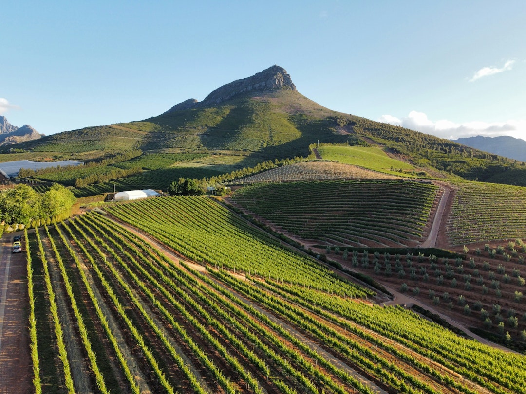 Privatsafaris: Garden Route und Oyster Bay