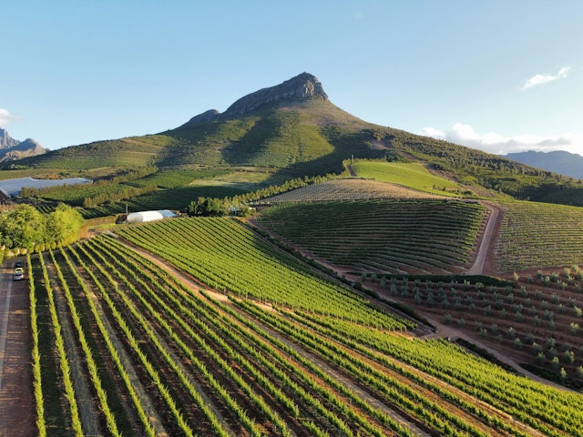 Stellenbosch-0