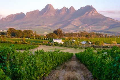 Südafrika: 10 Tage Kapstadt & Stellenbosch - Image 3