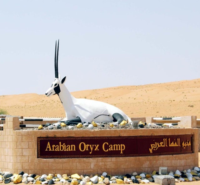 Arabian Oryx Camp