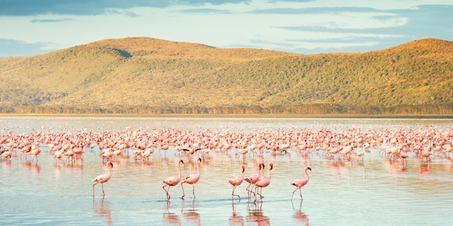 Nakuru-1