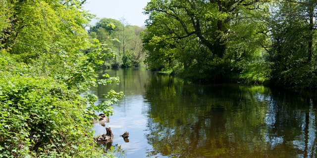 Kildare-3