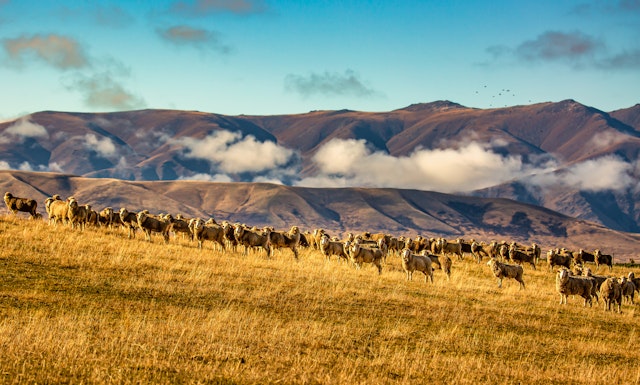Lake Ohau-0